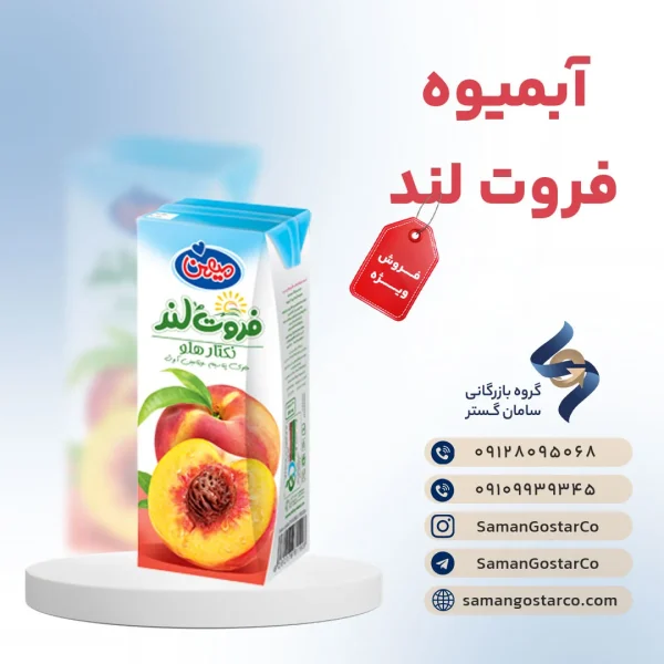 آبمیوه فروتلند پاکتی 200cc